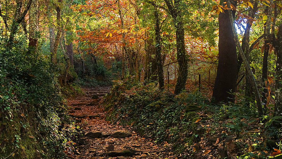 Ruta de lugares con encanto por la Sierra de Aracena